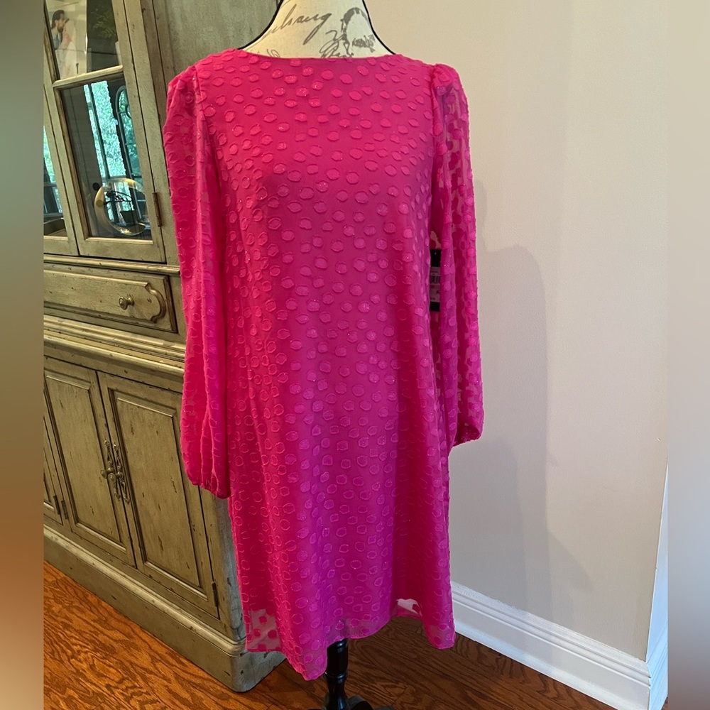 Fuschia Dress